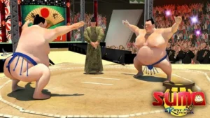 Sumo. Увлекательная и оригинальная стратегическая игра